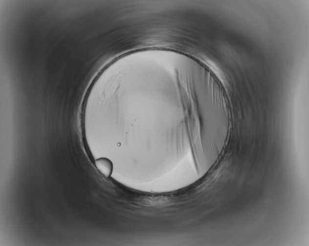 X0000096401291200802211155