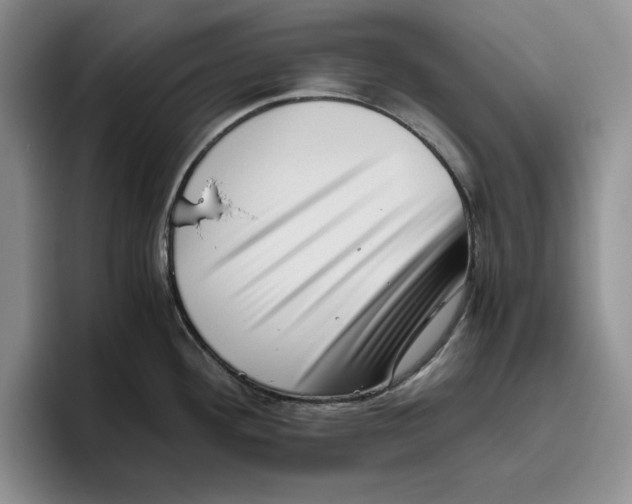 X0000096401292200802211155