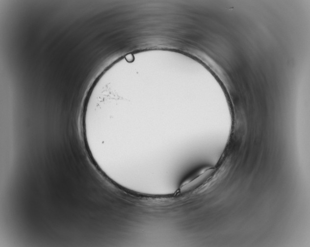 X0000096401293200802211155