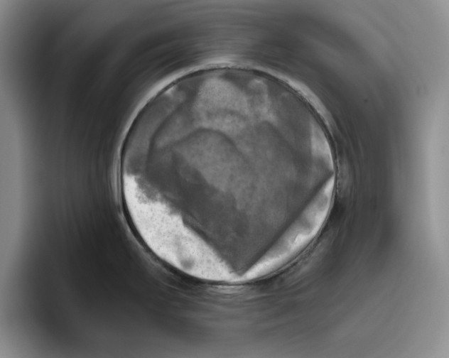 X0000096401295200802211155