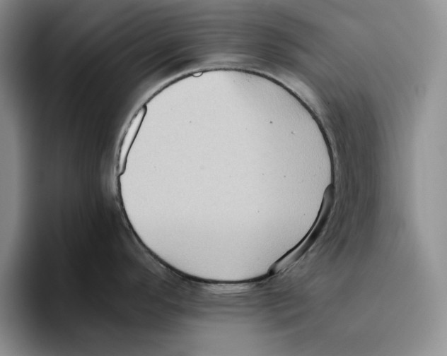 X0000096401296200802211155