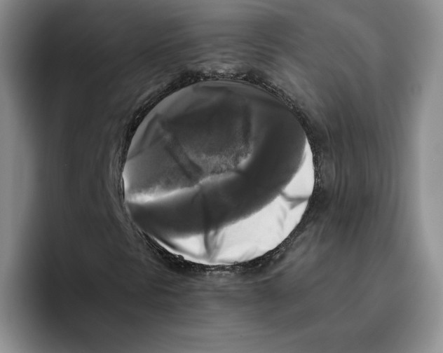 X0000096401297200802211155