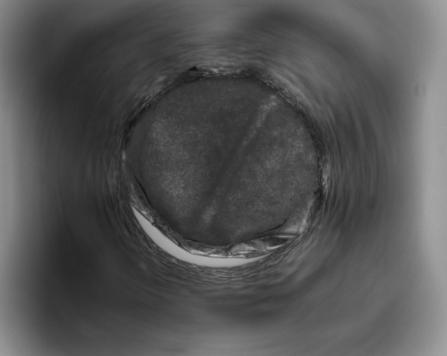 X0000096401298200802211155