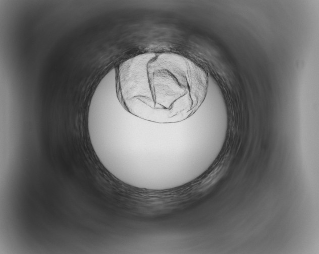 X0000096401300200802211155