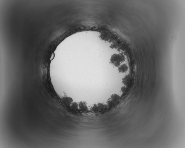 X0000096401302200802211155
