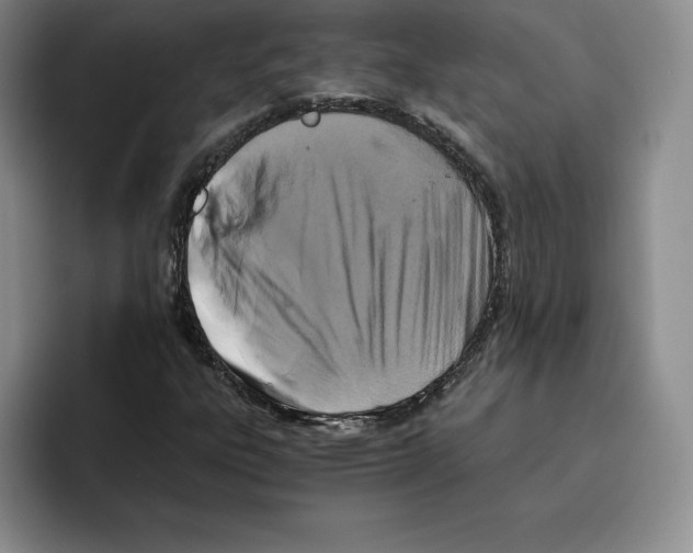 X0000096401303200802211155