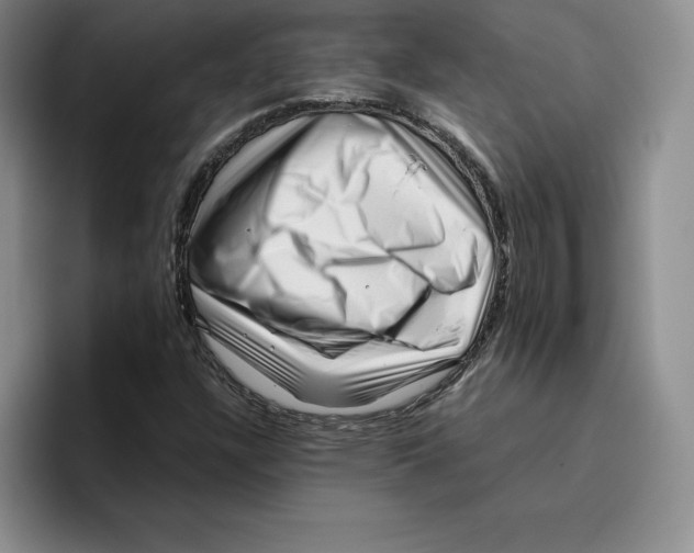 X0000096401304200802211155