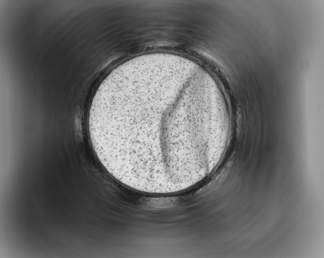 X0000096401305200802211155