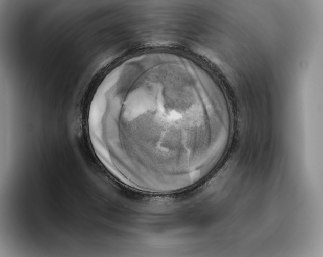 X0000096401306200802211155