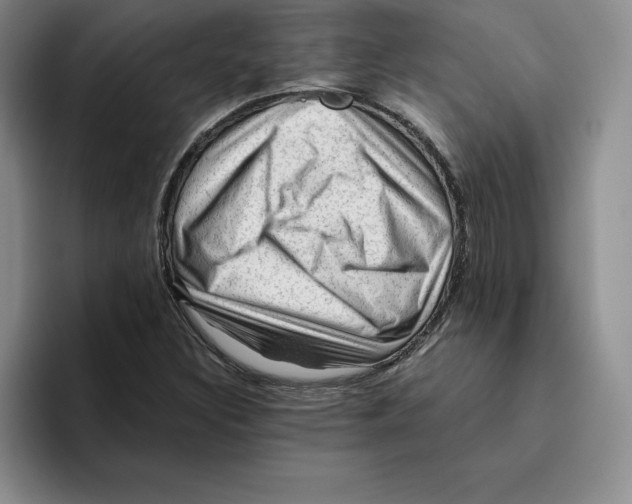 X0000096401308200802211155