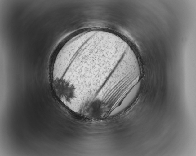 X0000096401312200802211155