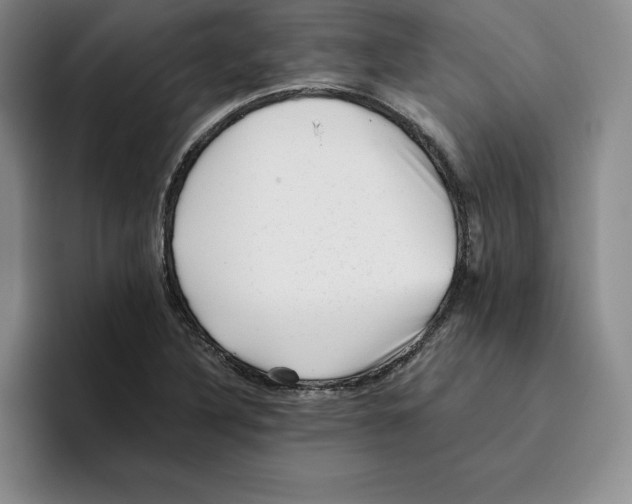 X0000096401316200802211155