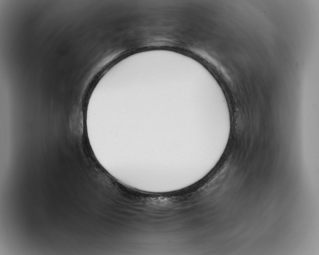 X0000096401317200802211155