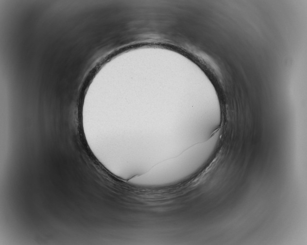 X0000096401318200802211155