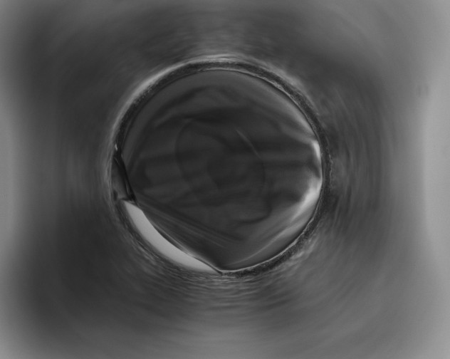 X0000096401319200802211155