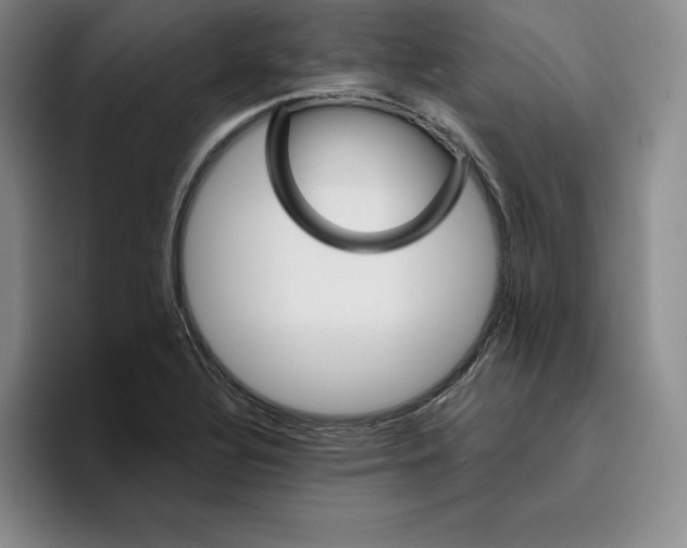 X0000096401320200802211155