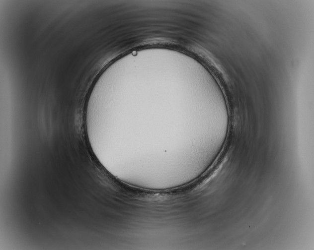 X0000096401321200802211155