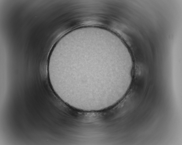 X0000096401322200802211155