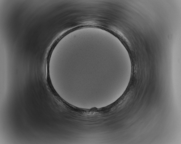 X0000096401323200802211155