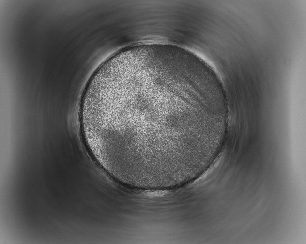 X0000096401325200802211155