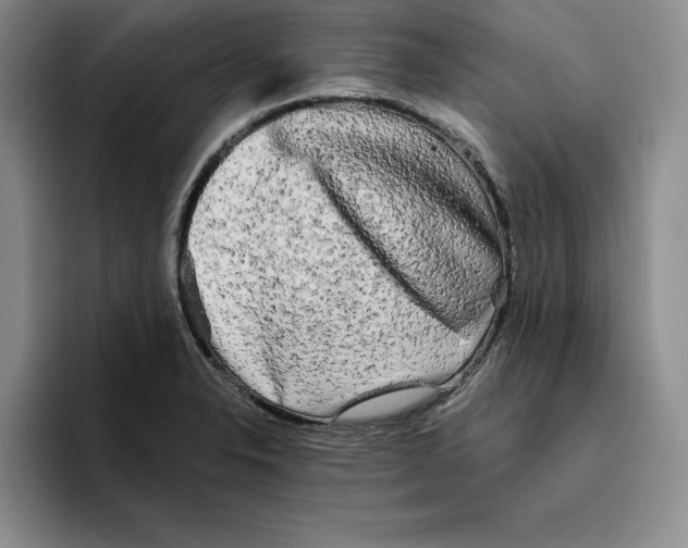 X0000096401326200802211155