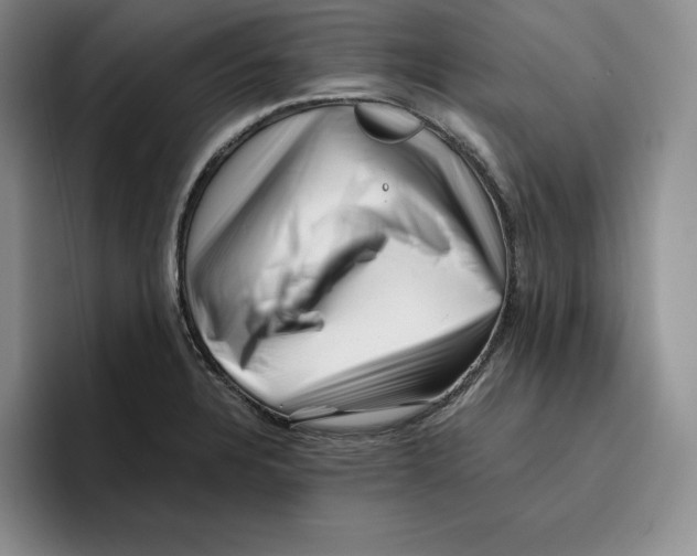 X0000096401328200802211155