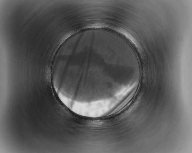 X0000096401329200802211155