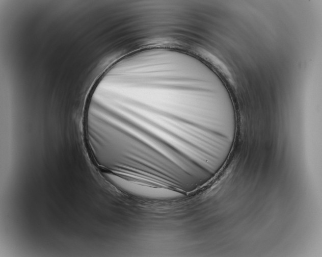 X0000096401330200802211155