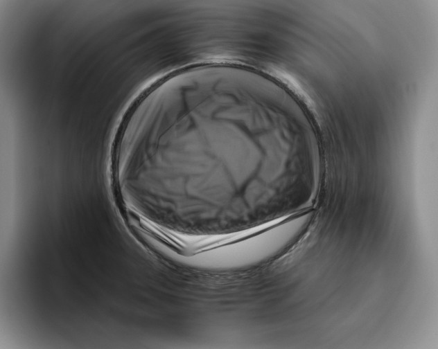 X0000096401331200802211155