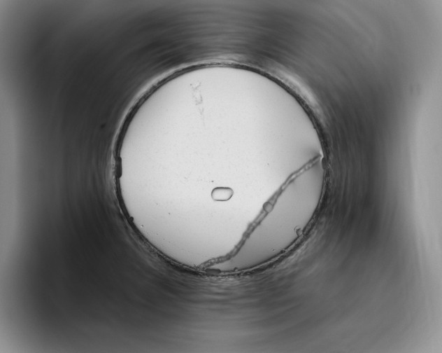 X0000096401332200802211155