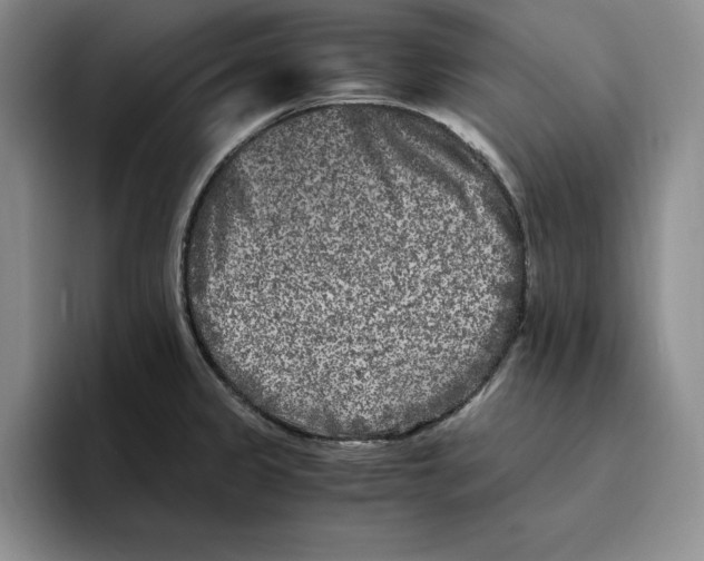 X0000096401333200802211155