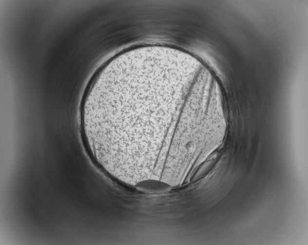 X0000096401335200802211155