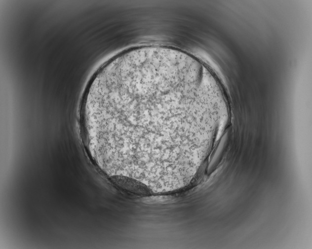 X0000096401336200802211155