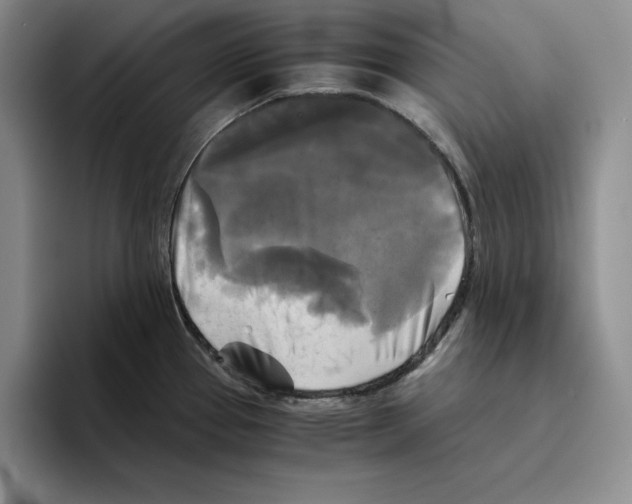 X0000096401337200802211155