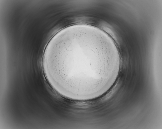 X0000096401338200802211155