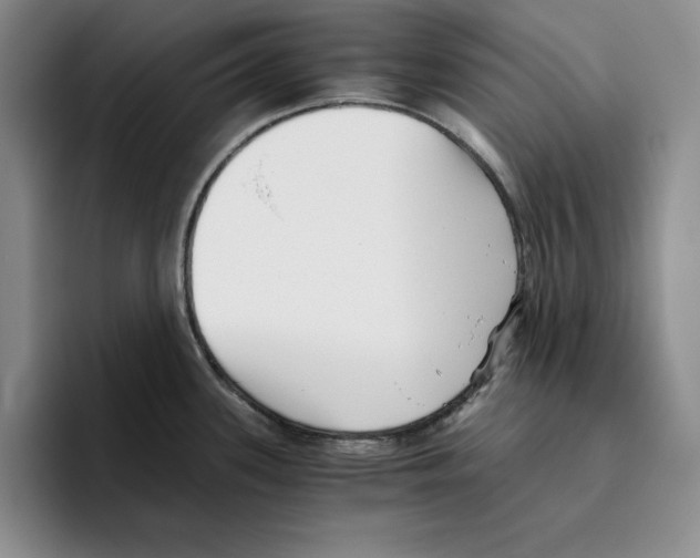 X0000096401339200802211155