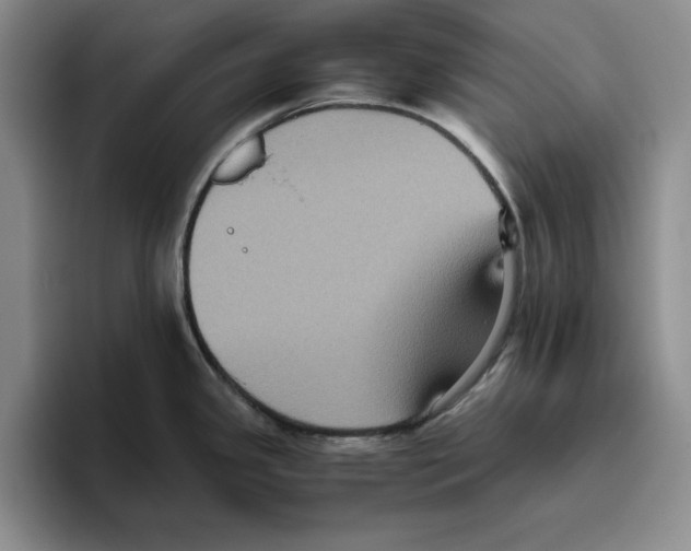 X0000096401341200802211155