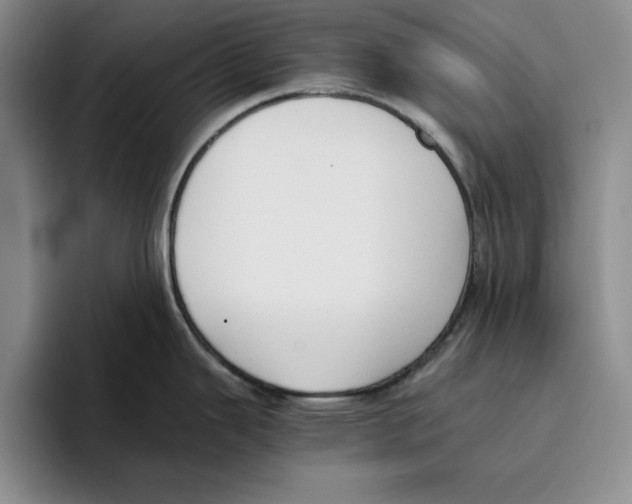 X0000096401343200802211155