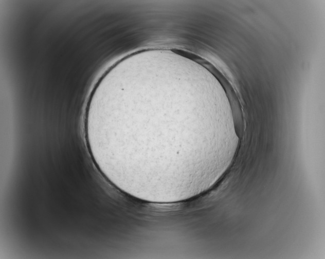 X0000096401344200802211155