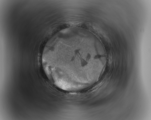 X0000096401346200802211155