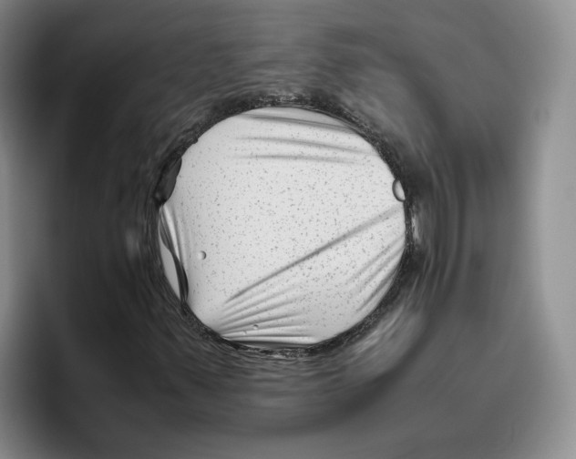 X0000096401347200802211154