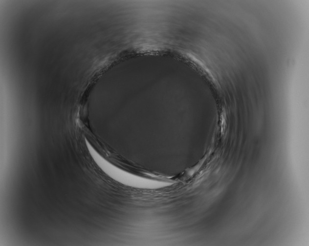 X0000096401348200802211154