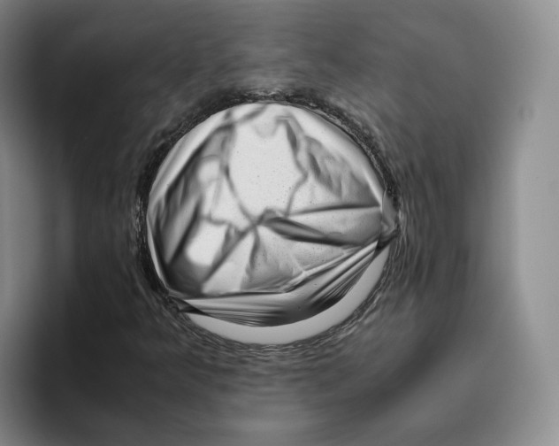 X0000096401349200802211154