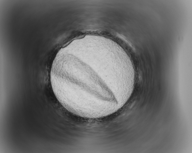 X0000096401350200802211154