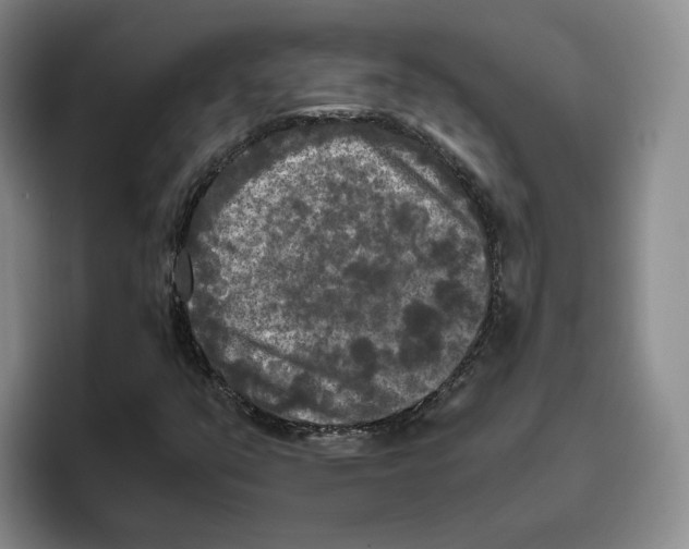 X0000096401351200802211154