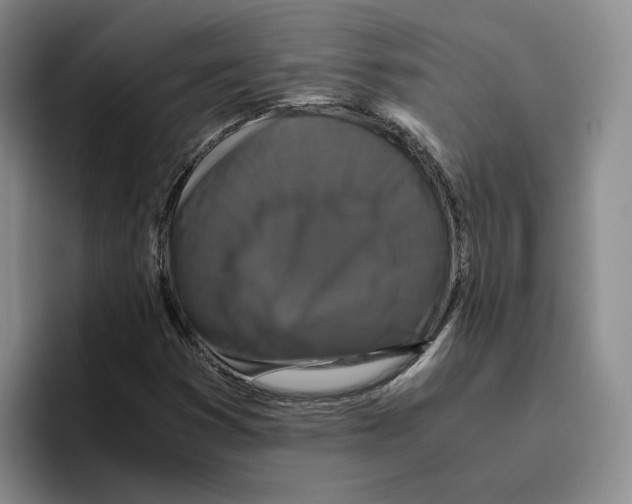 X0000096401353200802211154