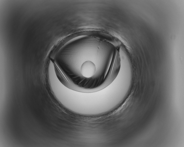 X0000096401357200802211154