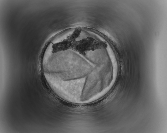 X0000096401358200802211154