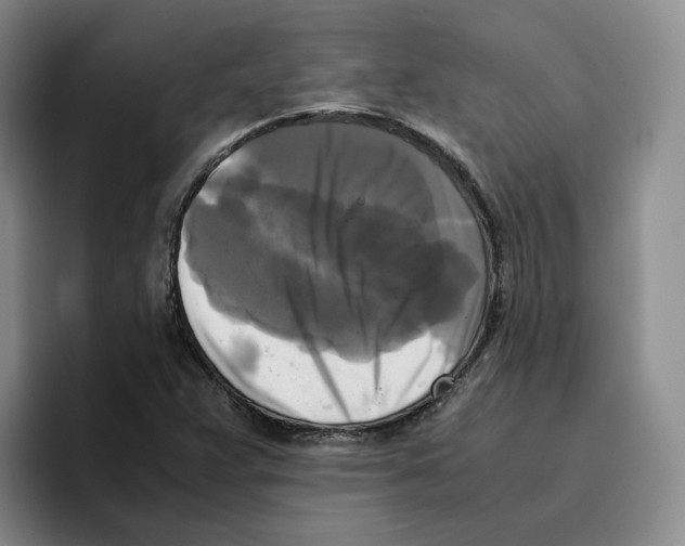 X0000096401359200802211154