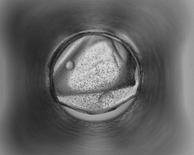 X0000096401360200802211154